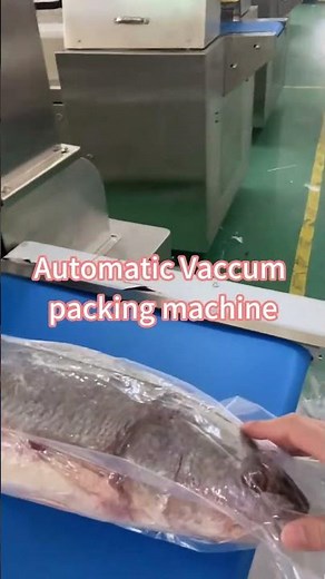 Automatic Vacuum Pillow Packaging Machine | Pillow-Type Vacuum Packing Solution