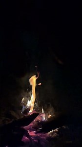 Bonefire