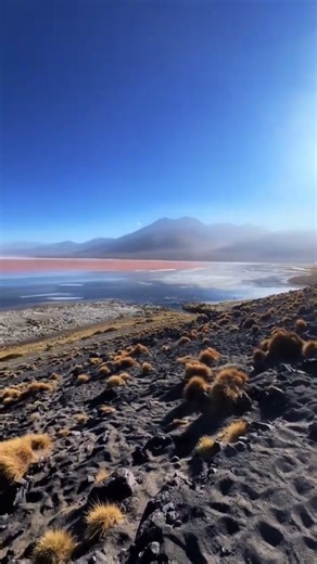 “Laguna Colorada” #turismo #bolivia #lagunacolorada