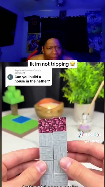 Building a House in the Nether - Expert Tips and Reactions