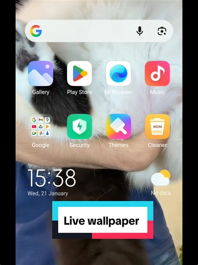 Set Any Video as Your Live Wallpaper Easily!