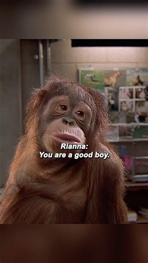 🐵💥MAN vs. APE BRAWL! This Fight Scene is WILD! 😱🦍