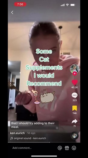 Best Cat Food Tips and Supplements for Your Feline Friend!