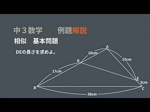 中3 相似 基本問題