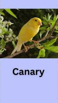 Place Name Words #etymology #linguistics #English #words