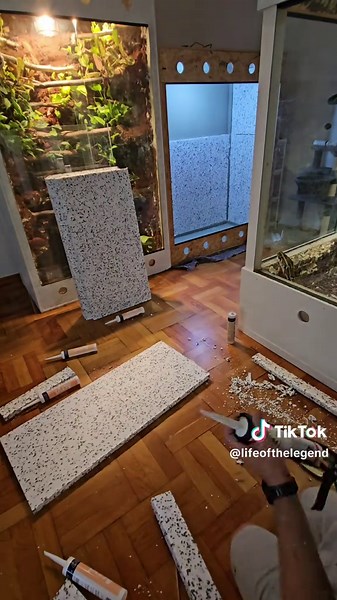 #python #viral #foryou #trending #terraristik | python