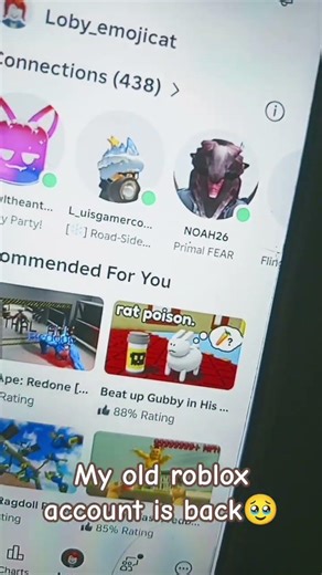 My old Roblox Account!