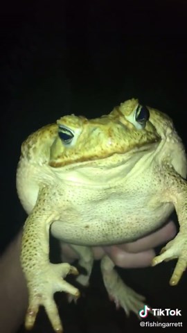Fishingarrett on TikTok