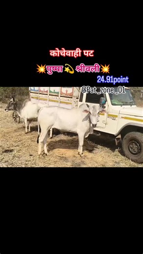 mp50 pat-zone_01 on Instagram: "#non skip video like 🙏🙏🙏"