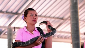 A Snake in a Woman's Mouth