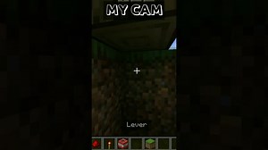 How to Make a Tree Troll Trap in Minecraft.