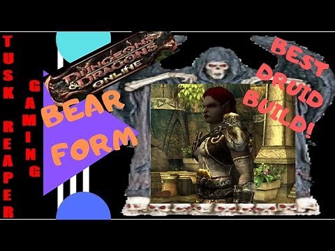 DDO - Best Druid Build - Insaine Bear Form Build and Use!