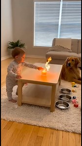 🐾 When a candle fell and flames spread fast, this loyal dog did the unthinkable—he dragged the baby to safety. Today, he’s more than a pet… he’s a hero.❤️🔥 | Grace Years