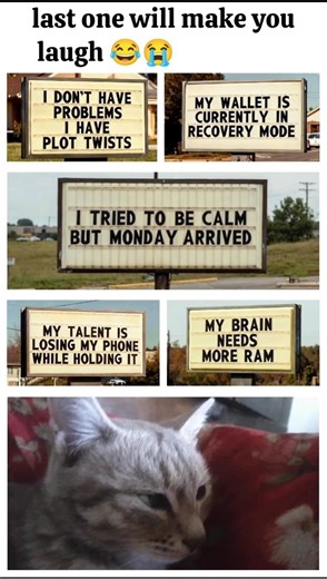 the funniest sign board jokes on the internet 😄