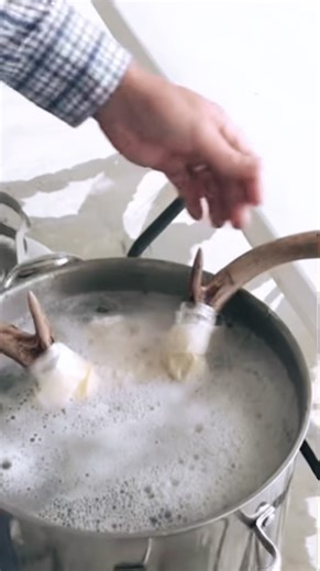 Ever done your own euromount? Check out our tutorial on our YouTube channel! WHAT!?!? You haven’t subscribed yet?!?!? #DIY #euromount #N1outdoors - - - - #diyhunting #deerhuntingtips #huntingvideos #reels #huntingreels #whatgetsyououtdoors #getoutside #bowhuntohyeah #outdoorlife #letshunt #viralreels #antlers #shedhunting #antleraddict #whitetaildeer #deerseason #huntersjournal #huntinglife #huntingproblems #duckdog #diytaxidermy #bigbuckdown #monsterbuck #monsterwhitetail | N1 Outdoors