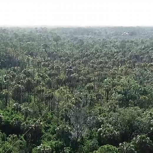 240K views · 2.1K reactions | Nestled in the heart of Oldsmar is a zip lining course at Empower Adventures Tampa Bay that will take you several hours, (a little courage), and the view of Tampa Bay is spectacular. MORE: https://bit.ly/2Hmg8K0 | FOX 13 News - Tampa Bay | Facebook