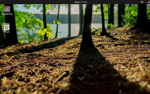 Ubuntu Linux 20.04切换语言并安装输入法