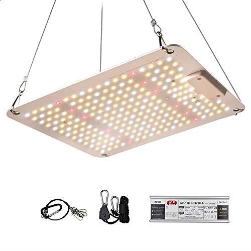 321ffd2b81d148bfaf926dd7935a809c