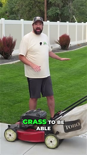 Fall Lawn Care: Scalp Your Grass For a Greener Yard!