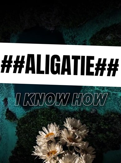 Aligatie - It's You (Please Don't Break My Heart)
