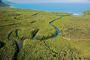 The Wet Tropics - Rainforest Rescue