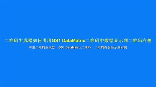二维码生成器如何引用GS1 DataMatrix二维码中数据显示到二维码右侧