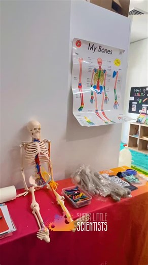 Today’s Science Club @learningblocks_dural was all about the Skeletal System with our young explorers aged 2-3yrs old and Pre-schoolers! The kids had a blast learning about the skull 💀 that shields their brain 🧠 and Ribs that safeguard their heart and lungs 🫁! They worked together to solve a skeleton puzzle 🧩 and created their own skeletons to take home - some even crafted alien bodies by connecting bones in creative ways 🦴😂. It was fascinating for them to discover that babies have more bo