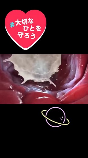 Understanding Sperm Cells Journey in Reproductive Health