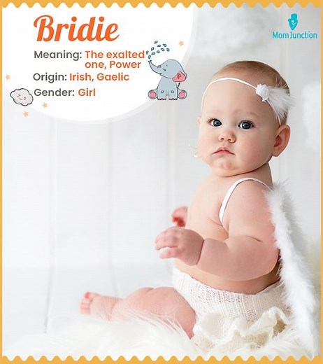 Bridie Name Meaning, Origin, History, And Popularity