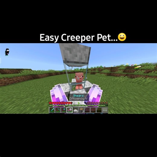 Minecraft Easy Creeper Pet Trick!