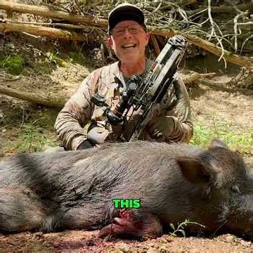 Epic Hog Hunt: Annihilator Broadhead & Raven Crossbow #shorts