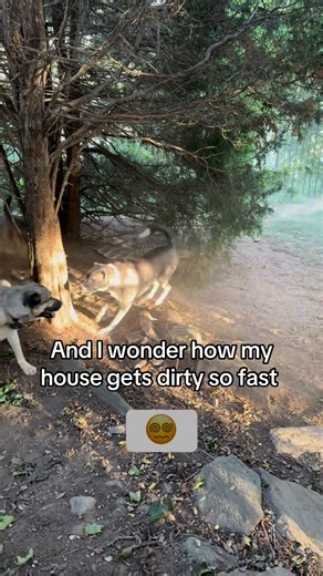 It’s fine. I’m fine 😂 | maya.and.finn