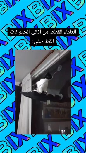 Vidéos de BIX (@____bix____) avec original sound - BIX