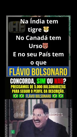 Meme político 🗺️