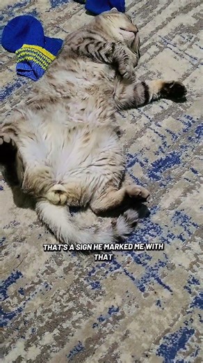 дар божий😁 #shorts