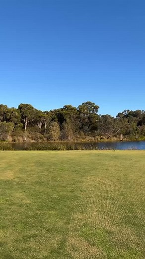 On Saturday, a bushfire broke out in Booragoon, and one of the firefighting helicopters used our golf course water feature to refill mid-mission. It was a surreal moment: seeing a massive aircraft drop in over the greens, hover above the lake, refill its snorkel hose, and race back to the fire line within seconds. These helicopters can carry thousands of litres of water at a time, drawn from the nearest safe source — lakes, rivers, even golf courses like ours — to slow the spread and protect nea