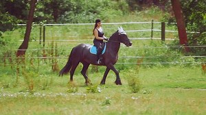 Woman Riding Horse On Ranch Full Stock Footage Video (100% Royalty-free) 11249219 | Shutterstock