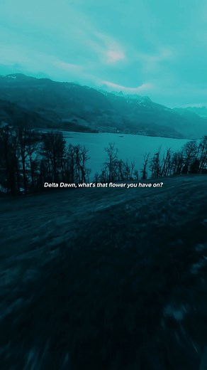 Delta Dawn - Tanya Tucker Lyrics Explained