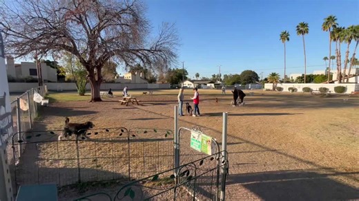 Phoenix community revitalizes empty lot, creating thriving dog park