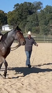 53K views · 719 reactions | Help Your Horse Feel More Safe & Relaxed with This Exercise | Ryan Rose | Facebook