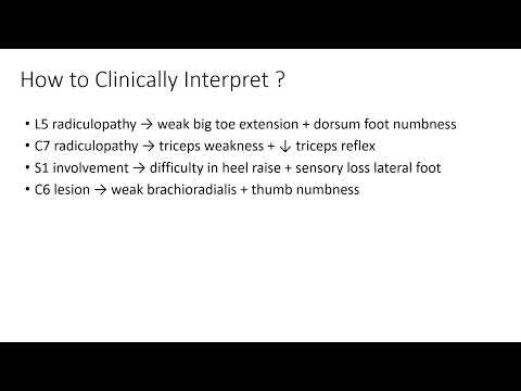 Dermatomes + Myotomes Explained | Fast Exam Review for PT & Med Students