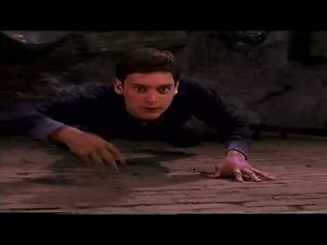 Spider-Man: Peter's New Powers (2002) (VHS Capture)