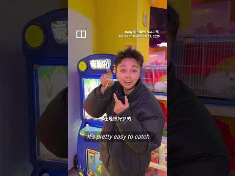 Chinese game store slammed after claw machine uses live hamsters and turtles as prizes