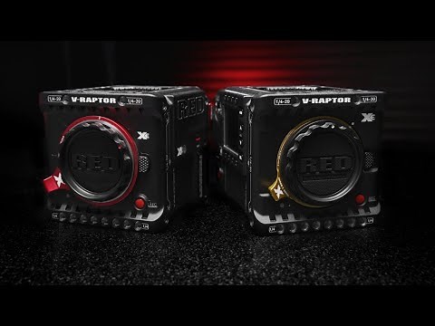 V-RAPTOR XE | Official Introduction | #ShotonRED