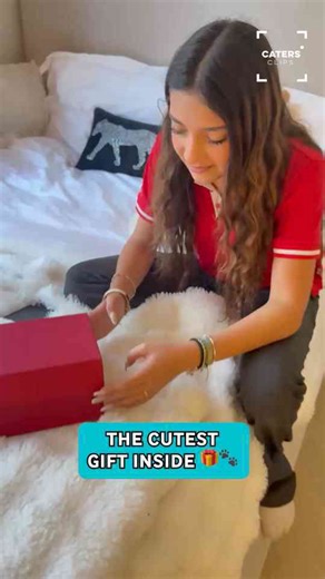Heartwarming moment girl receives surprise kitten gift