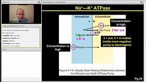 1.7K views · 27 reactions | Dr. Britt Wilson reviews Physiology in preparation for Step 1 What are your key takeaways from this lecture? #USMLE | Kaplan Health | Facebook