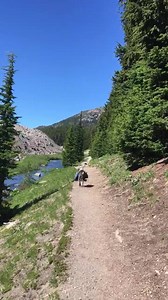 8K views · 419 reactions | Good little hiking buddies on a trip to Green Lakes in Eastern Oregon. | Obie Dog's Journey | Facebook
