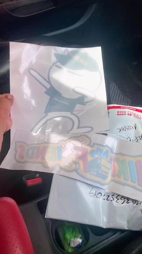 Sticker Customization for Vans and Lorries - Niki and Friends