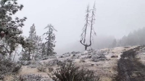 Snow falls on southern Oregon