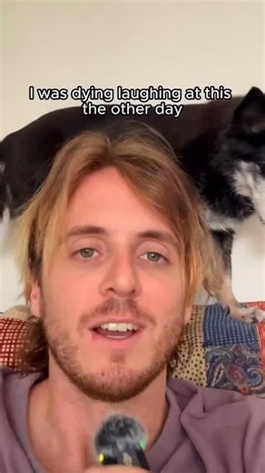 Thats a lot of emails | Web Zeppelin